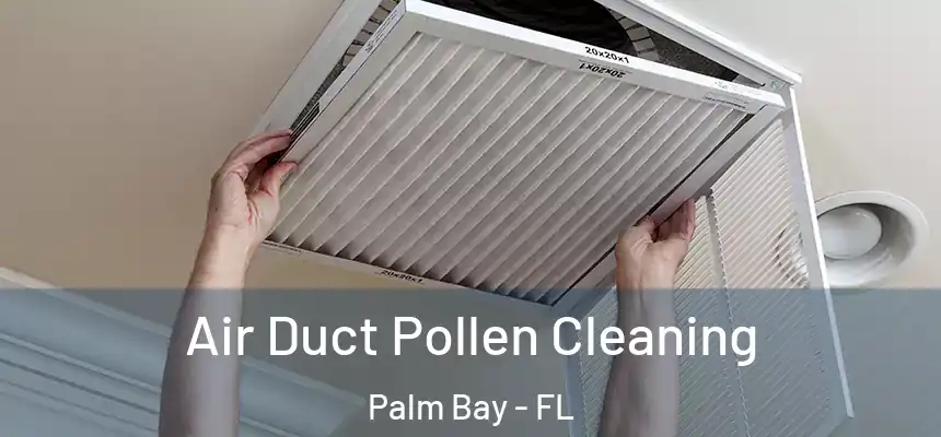Air Duct Pollen Cleaning Palm Bay - FL