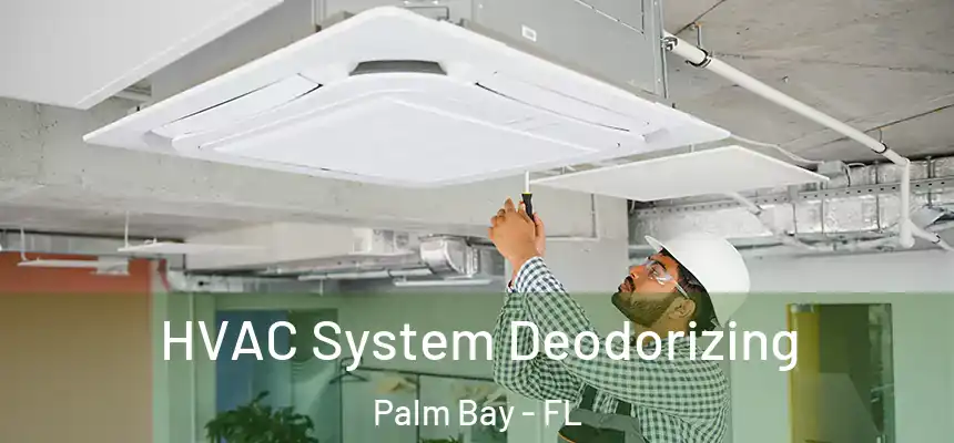  HVAC System Deodorizing Palm Bay - FL