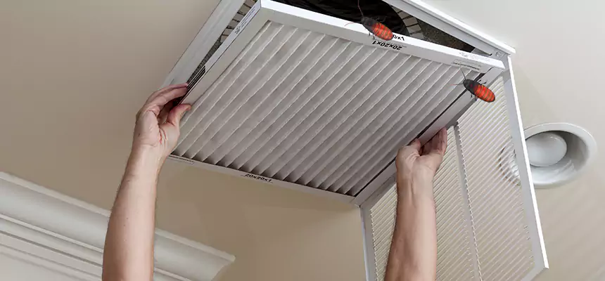 Preventive Cockroach-Proofing for Ducts in Palm Bay