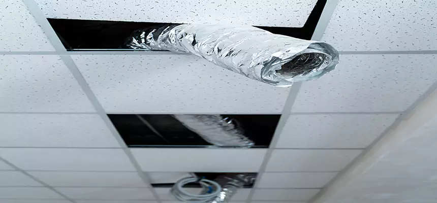 Affordable HVAC Sanitizing After Pest Removal in Palm Bay