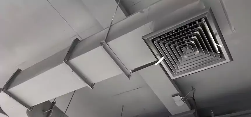 Restorative Allergy Relief Vent Cleaning – Coil, Blower & Housing Detail in Palm Bay