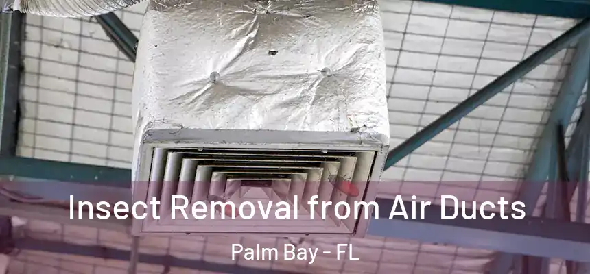 Insect Removal from Air Ducts Palm Bay - FL