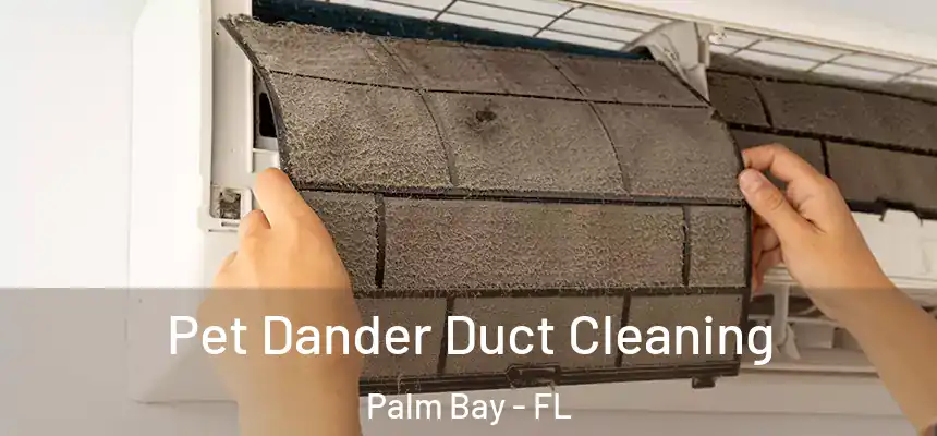 Pet Dander Duct Cleaning Palm Bay - FL