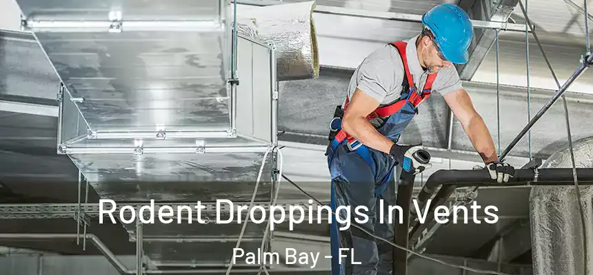 Rodent Droppings In Vents Palm Bay - FL