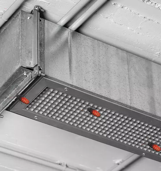 About Air Duct Cockroach Removal in Palm Bay, FL
