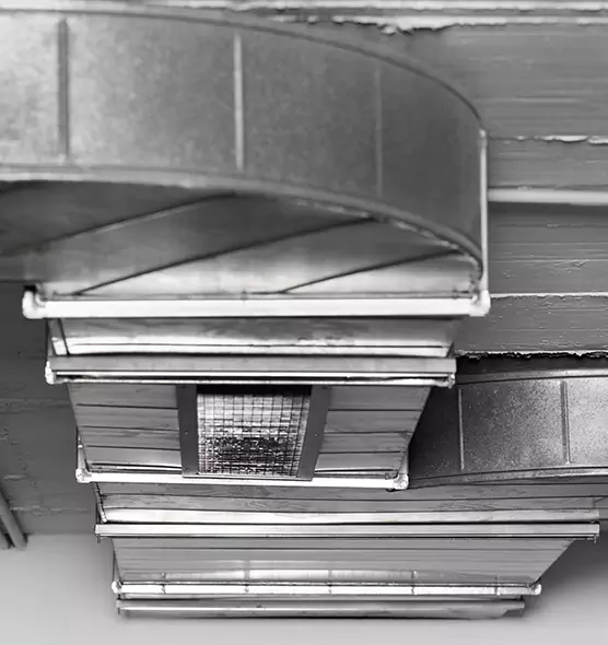 Professional Air Duct Pest Removal in Palm Bay, FL