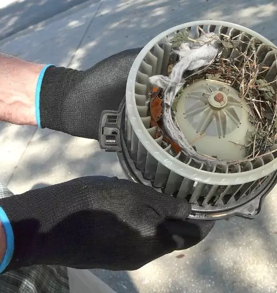 About Air Duct Rat Removal in Palm Bay, FL