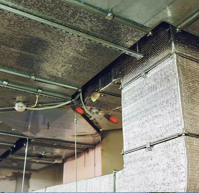 Why Homeowners & Businesses Trust Us in Palm Bay, FL?