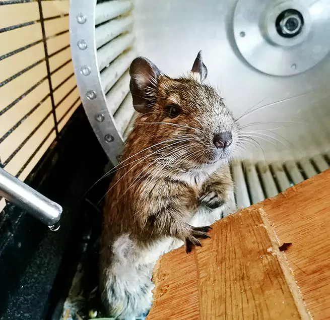 Why Homeowners & Businesses Trust Us Palm Bay, FL