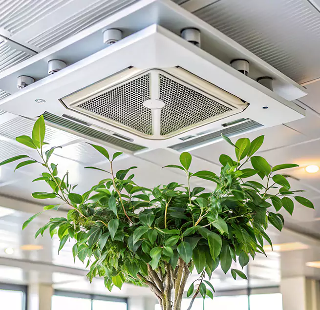 Why Homeowners & Businesses Trust Us in Palm Bay, FL