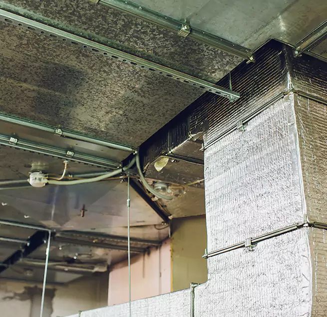 Why Homeowners & Businesses Trust Us in Palm Bay, FL?