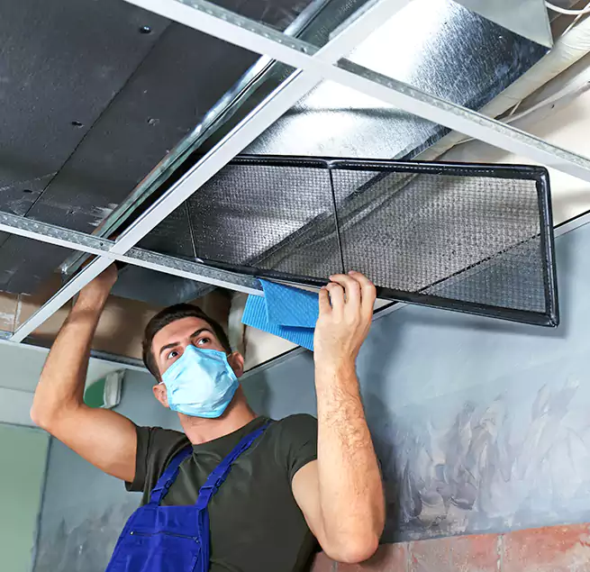 Why Homeowners Businesses Trust Us in Palm Bay, FL